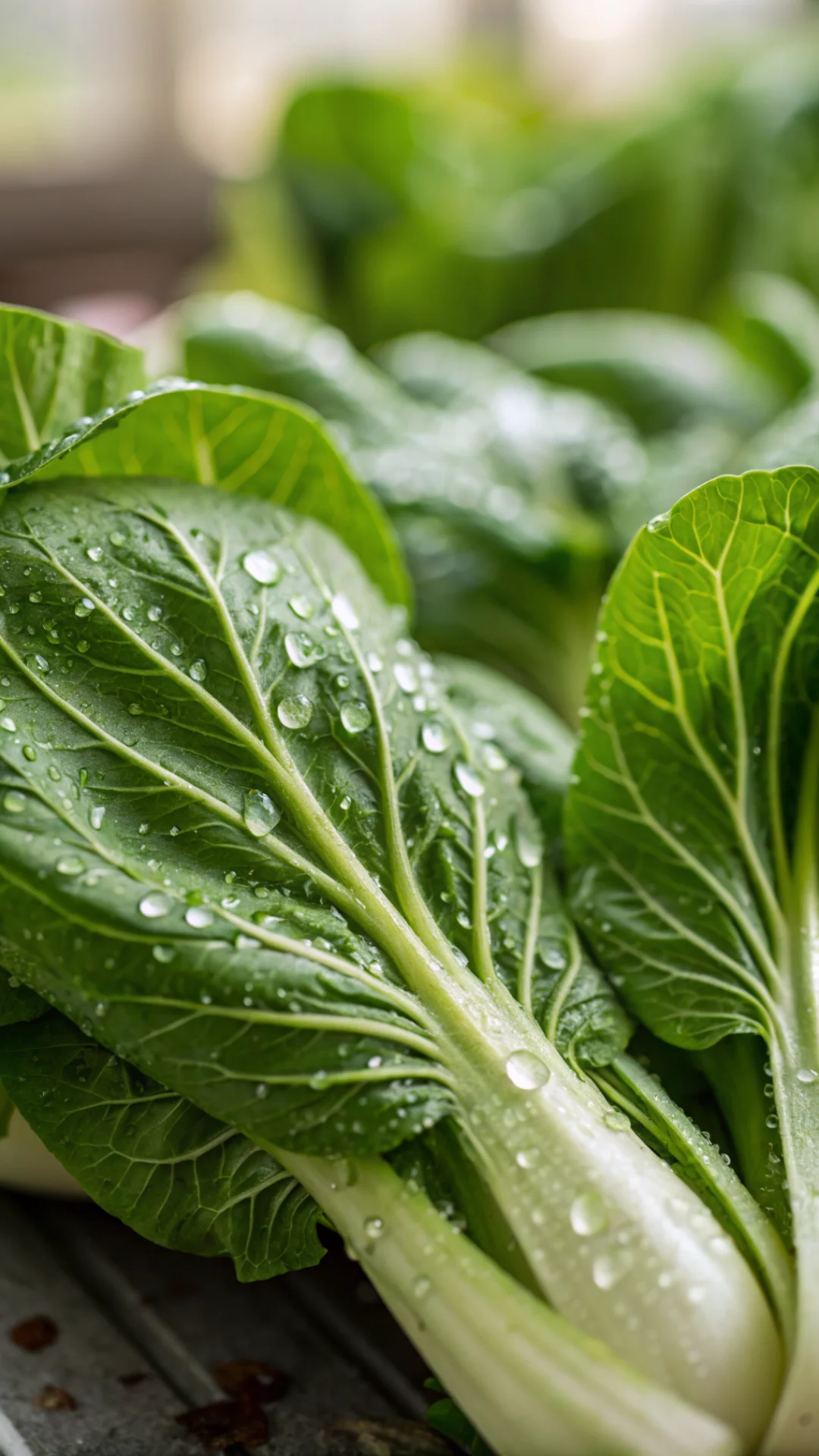 Close-up macro shot fresh pak choi leaves with water droplets, vibrant green, crispy texture, shallow depth of field, profess
